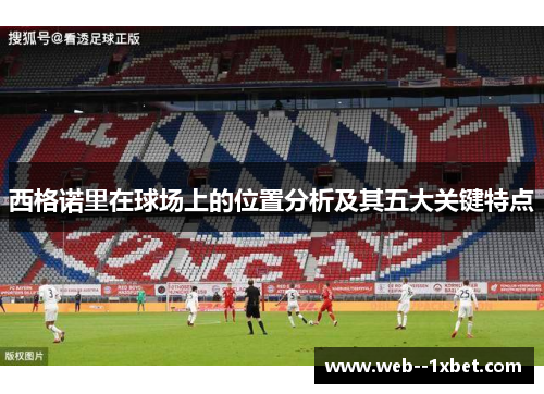 西格诺里在球场上的位置分析及其五大关键特点 西格诺里在球场上的位置分析及其五大关键特点